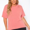 Plus Size Distressed Crew Neck Tee Shirt