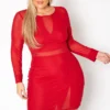 Plus Size Mesh Contrast Long Sleeve Mini Dress